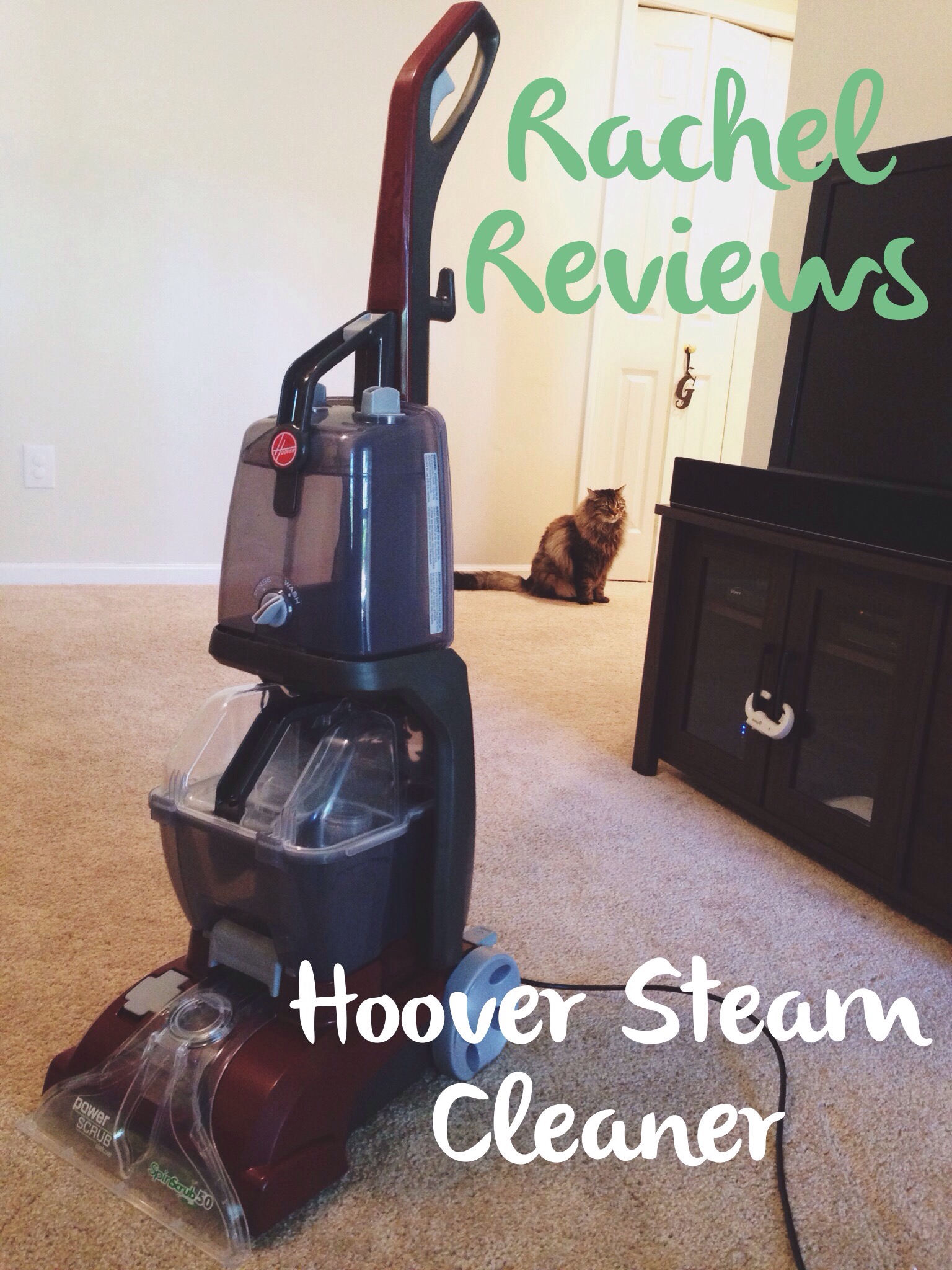 Hoover Power Scrub Deluxe Review!! 